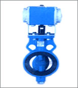 Butterfly Valves