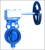 Butterfly Valves