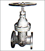 CI SLUICE VALVE